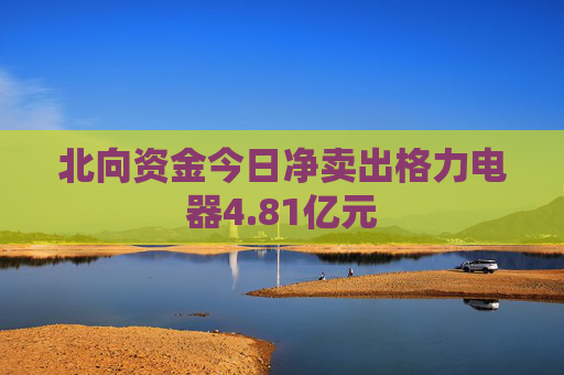 北向资金今日净卖出格力电器4.81亿元