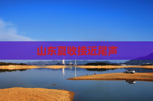 山东夏收接近尾声