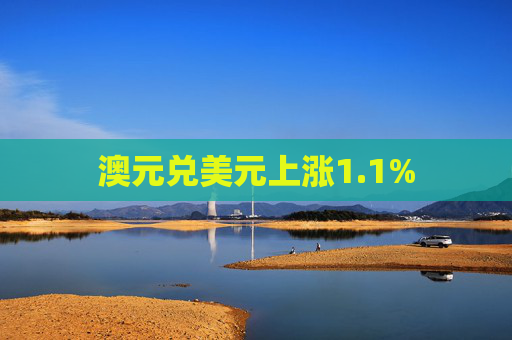 澳元兑美元上涨1.1%