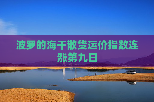 波罗的海干散货运价指数连涨第九日