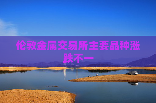 伦敦金属交易所主要品种涨跌不一