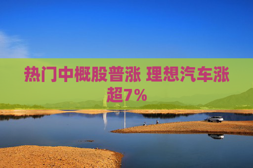 热门中概股普涨 理想汽车涨超7%