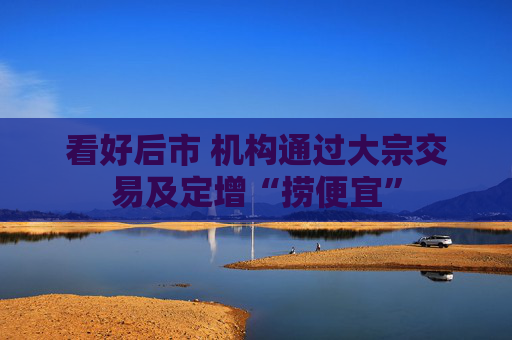 看好后市 机构通过大宗交易及定增“捞便宜”