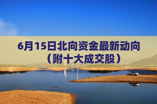 6月15日北向资金最新动向（附十大成交股）