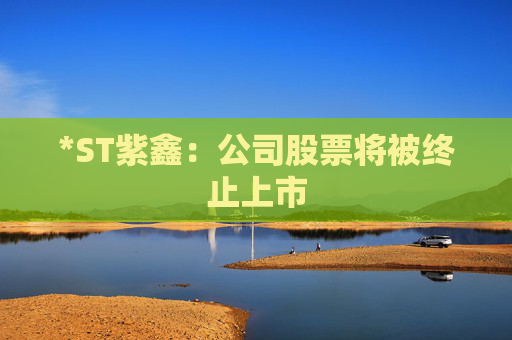 *ST紫鑫：公司股票将被终止上市