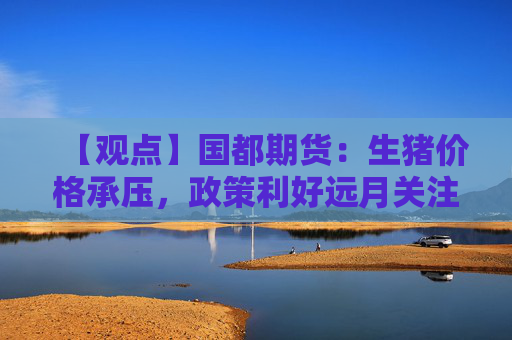 【观点】国都期货：生猪价格承压，政策利好远月关注13000关口支撑
