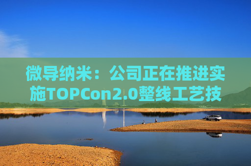 微导纳米：公司正在推进实施TOPCon2.0整线工艺技术