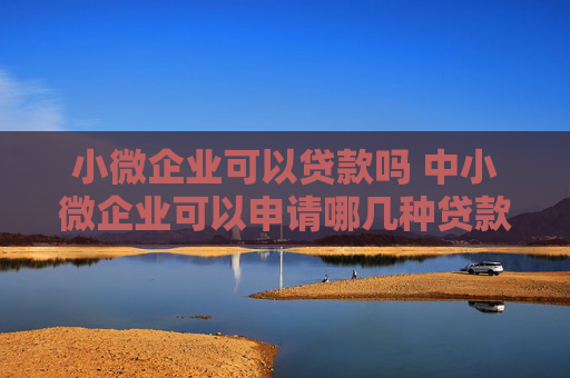 小微企业可以贷款吗 中小微企业可以申请哪几种贷款
