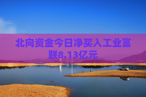 北向资金今日净买入工业富联8.13亿元