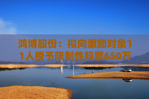 鸿博股份：拟向激励对象11人授予限制性股票650万股