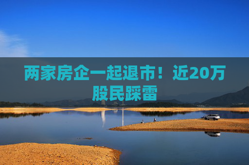 两家房企一起退市！近20万股民踩雷