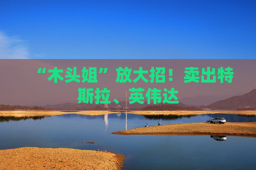 “木头姐”放大招！卖出特斯拉、英伟达