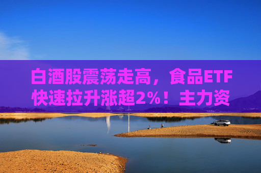 白酒股震荡走高，食品ETF快速拉升涨超2%！主力资金加速进场