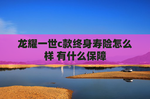 龙耀一世c款终身寿险怎么样 有什么保障