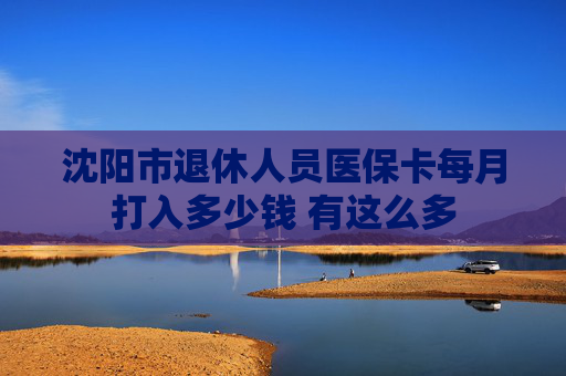 沈阳市退休人员医保卡每月打入多少钱 有这么多