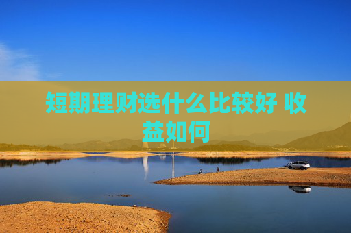 短期理财选什么比较好 收益如何