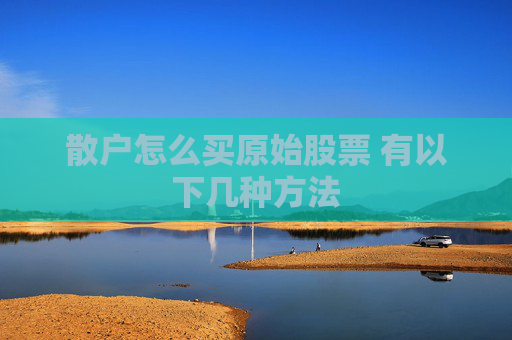 散户怎么买原始股票 有以下几种方法