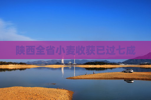 陕西全省小麦收获已过七成