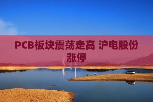 PCB板块震荡走高 沪电股份涨停
