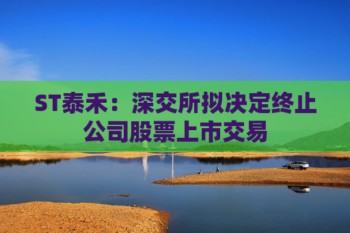 ST泰禾：深交所拟决定终止公司股票上市交易