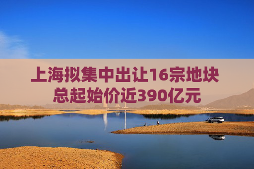 上海拟集中出让16宗地块 总起始价近390亿元