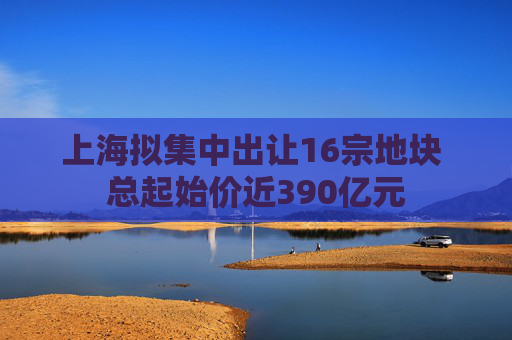 上海拟集中出让16宗地块 总起始价近390亿元