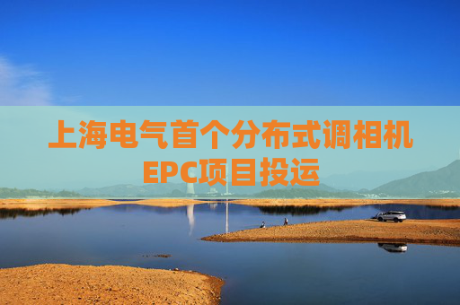 上海电气首个分布式调相机EPC项目投运
