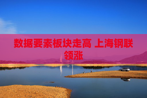 数据要素板块走高 上海钢联领涨