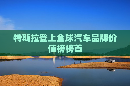 特斯拉登上全球汽车品牌价值榜榜首