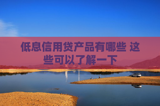 低息信用贷产品有哪些 这些可以了解一下