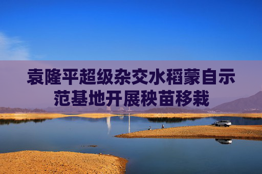 袁隆平超级杂交水稻蒙自示范基地开展秧苗移栽