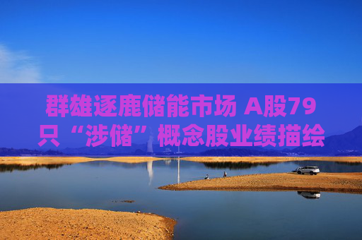 群雄逐鹿储能市场 A股79只“涉储”概念股业绩描绘火热赛道