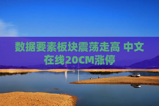 数据要素板块震荡走高 中文在线20CM涨停