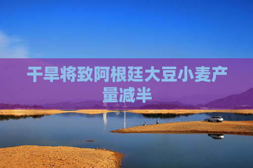 干旱将致阿根廷大豆小麦产量减半