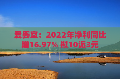 爱婴室：2022年净利同比增16.97% 拟10派3元