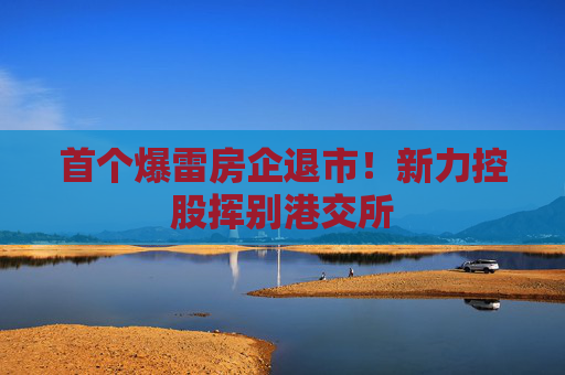 首个爆雷房企退市！新力控股挥别港交所