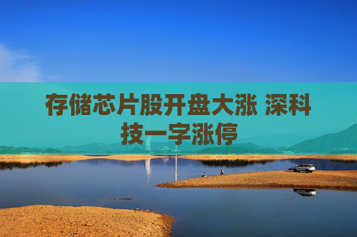 存储芯片股开盘大涨 深科技一字涨停