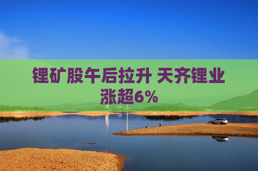 锂矿股午后拉升 天齐锂业涨超6%