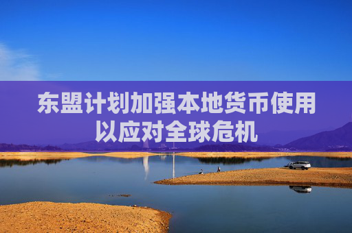 东盟计划加强本地货币使用以应对全球危机