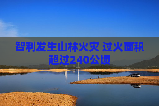 智利发生山林火灾 过火面积超过240公顷