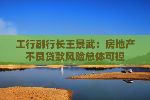 工行副行长王景武：房地产不良贷款风险总体可控