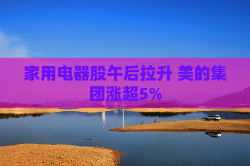家用电器股午后拉升 美的集团涨超5%
