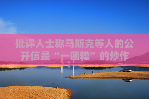 批评人士称马斯克等人的公开信是“一团糟”的炒作