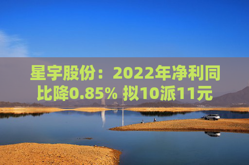 星宇股份：2022年净利同比降0.85% 拟10派11元