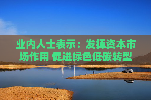 业内人士表示：发挥资本市场作用 促进绿色低碳转型