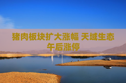 猪肉板块扩大涨幅 天域生态午后涨停