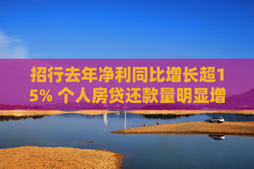 招行去年净利同比增长超15% 个人房贷还款量明显增加