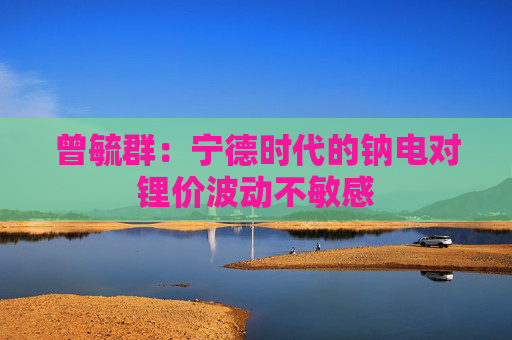 曾毓群：宁德时代的钠电对锂价波动不敏感
