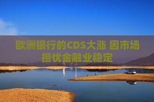 欧洲银行的CDS大涨 因市场担忧金融业稳定
