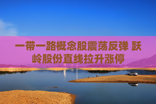 一带一路概念股震荡反弹 跃岭股份直线拉升涨停